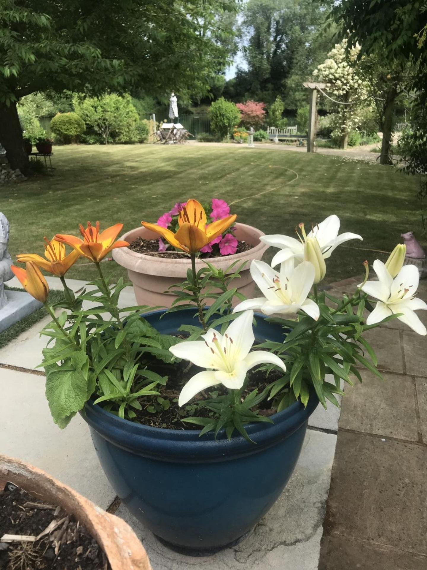 Cozy Double Bedroom In Stunning Bungalow On River Thames - Near Thorpe Park/Royal Holloway University/20Mins From Heathrow Staines-upon-Thames Eksteriør bilde